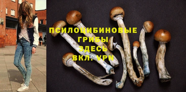 амф Абинск