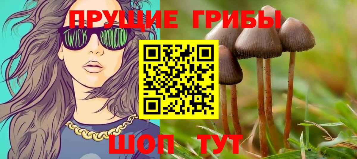 Смоленск  Псилоцибиновые грибы Magic Shrooms  Вход с VPN 